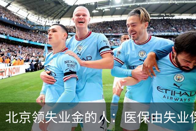 北京领失业金的人：医保由失业保险基金代缴，停了要赶紧自己续